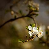 15cb52ef9db0c  0e9e3d42f917d60019f.jpg